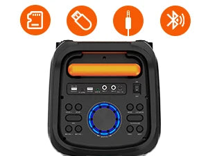 Portable Bluetooth Karaoke Machine with 2 Wireless Microphones