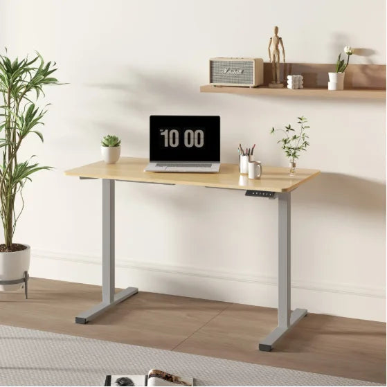 Electric Adjustable Height Home Office Computer Workstation FCJ Sit Stand up Electric Standing Desk